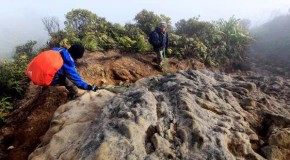 Bertarung ke Puncak Petarung
