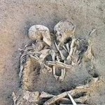 fosil_kerangka_manusia_purba